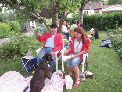 Rocnic 2012